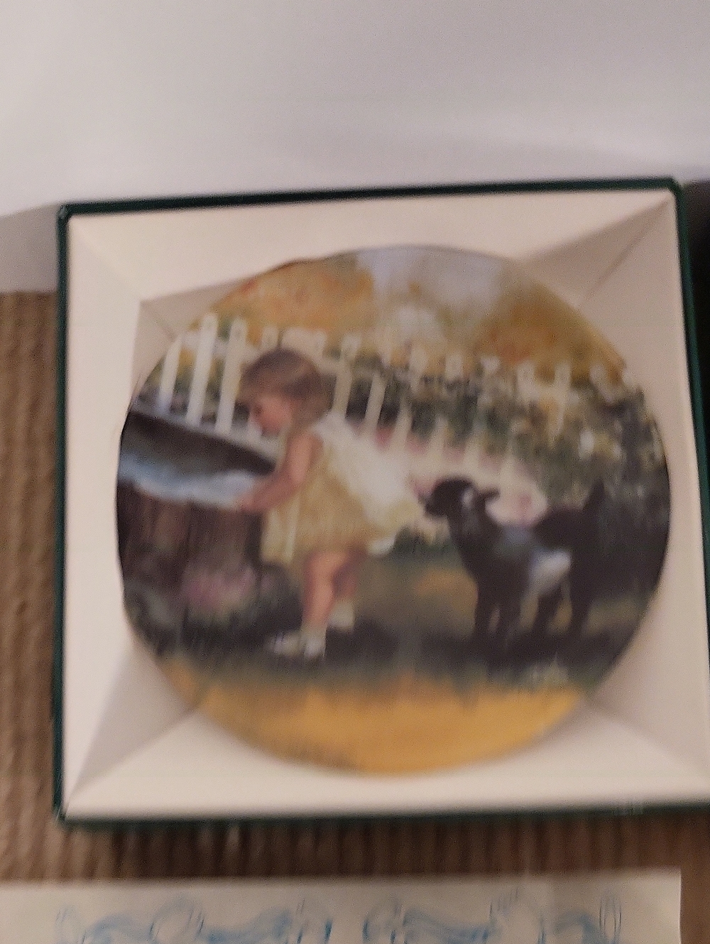 Donald Zolan "Double Trouble" Collector Plate
